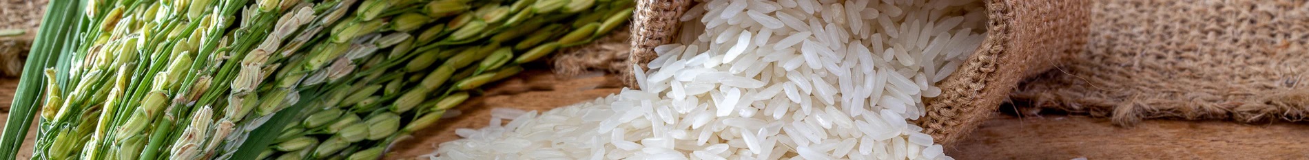 Basmati rice exporters in India Packing