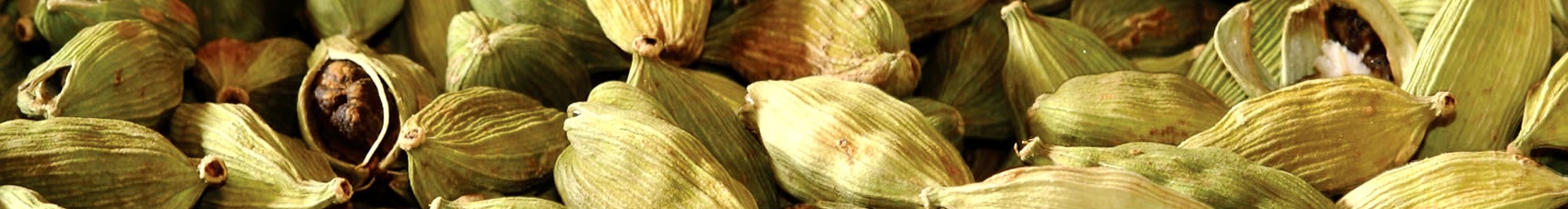 Best Green Cardamom Exporters in India – Premium Quality Cardamom for Export